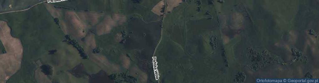 Zdjęcie satelitarne Pańska Wola Osada ul.